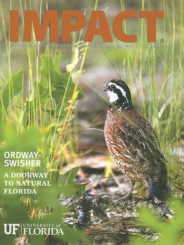 IMPACT Quail.JPG